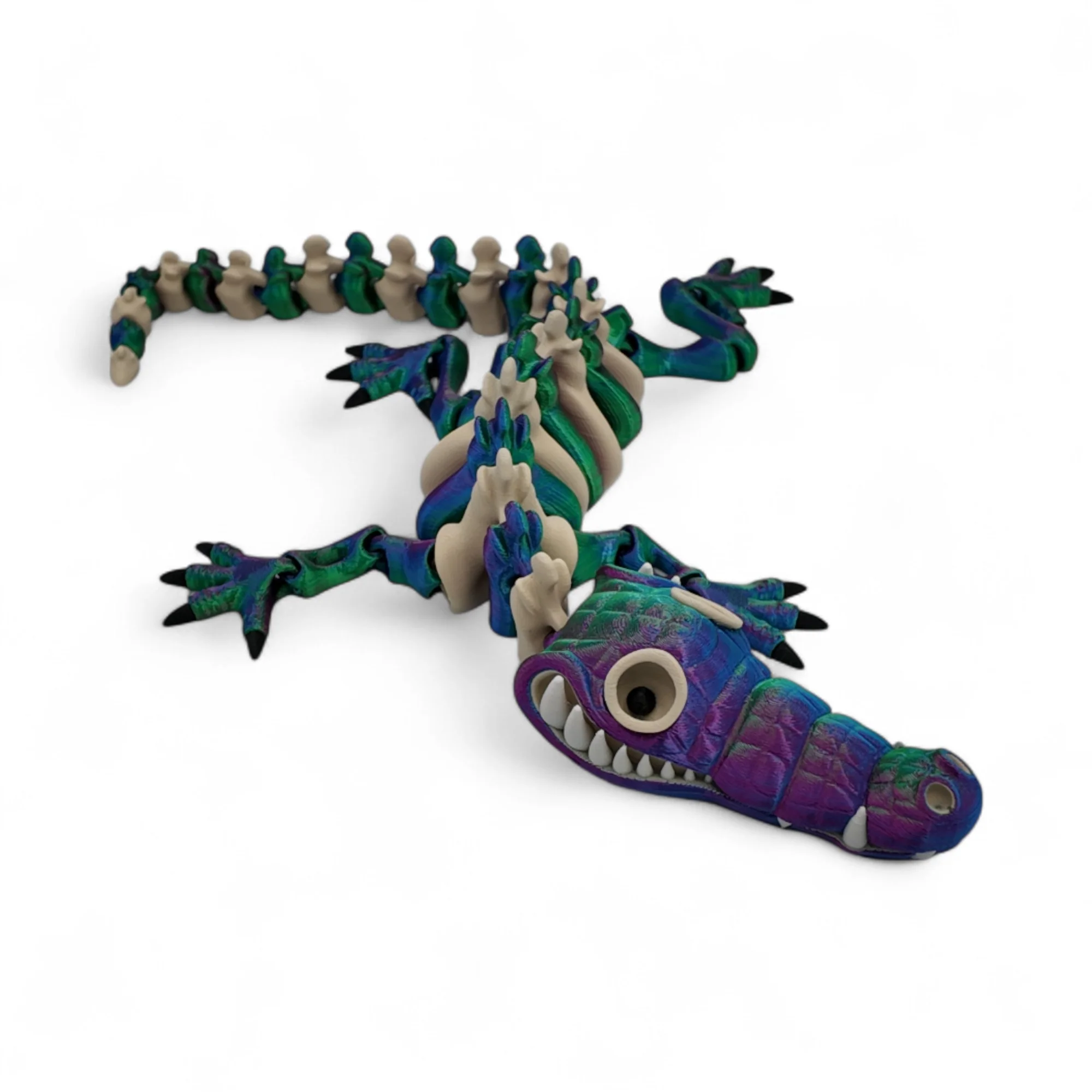 Adult Skeleton Crocodile - Image 3