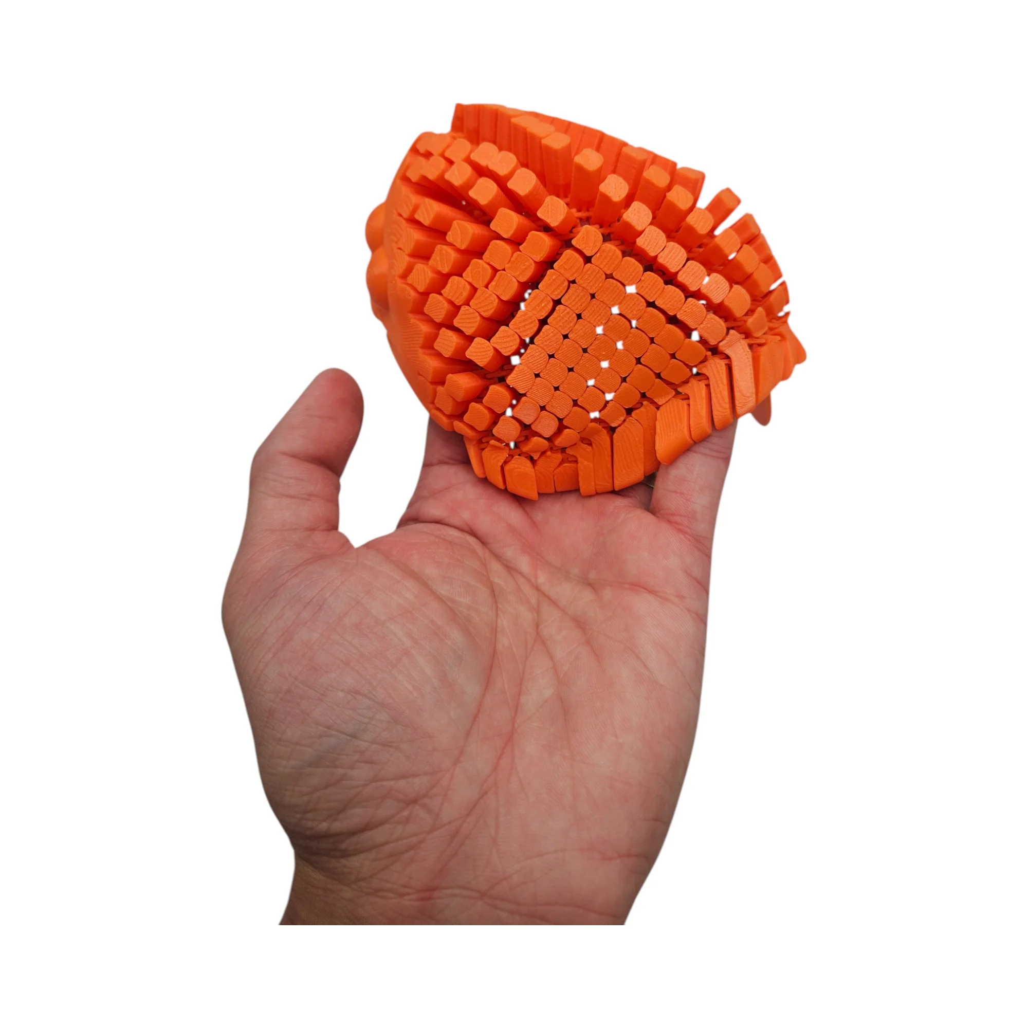 Flexi Fidget Toys – Articulating Flexible Animals and Creatures - Image 17