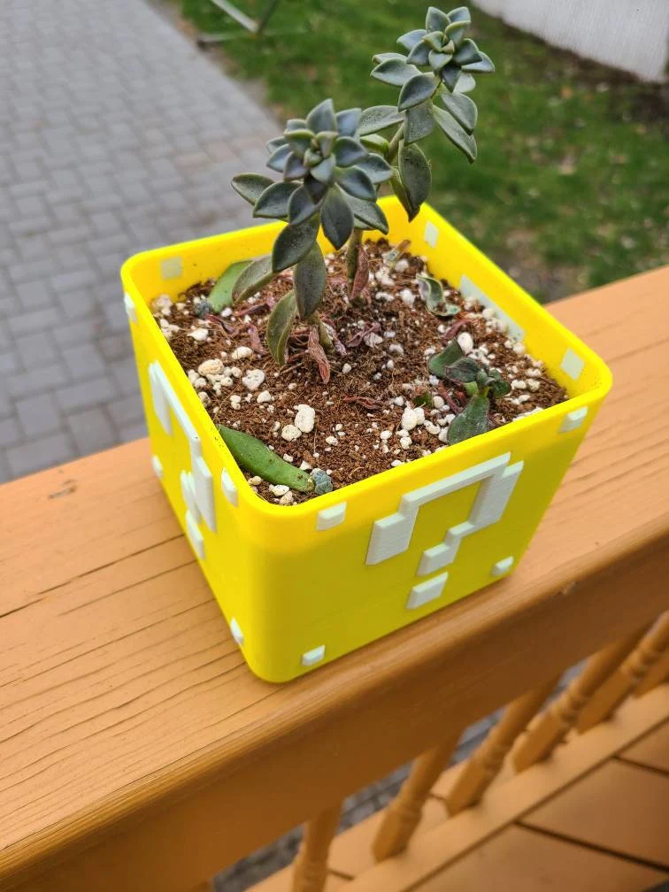 Super Mario Planter Box For Succulents - Image 3