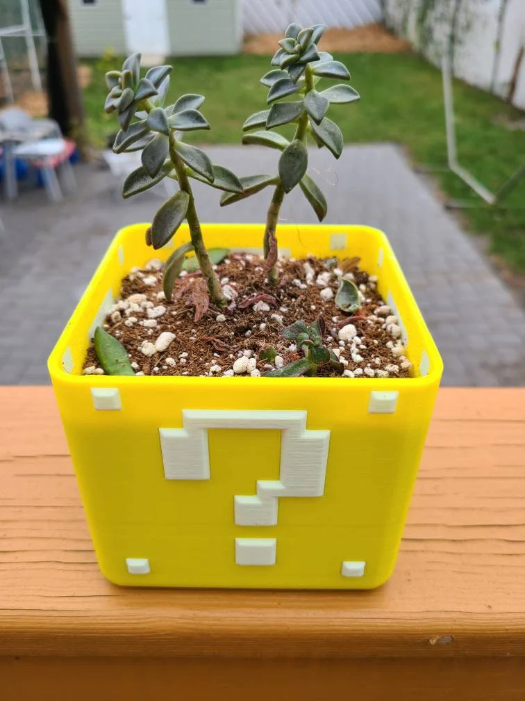Super Mario Planter Box For Succulents - Image 5
